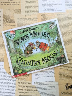 Town Mouse, Country Mouse by Jan Brett