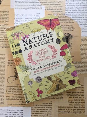 Nature Anatomy by Julia Rothman