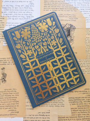 Colossians and Philemon Scripture Journal